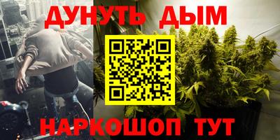 мдпв Будённовск