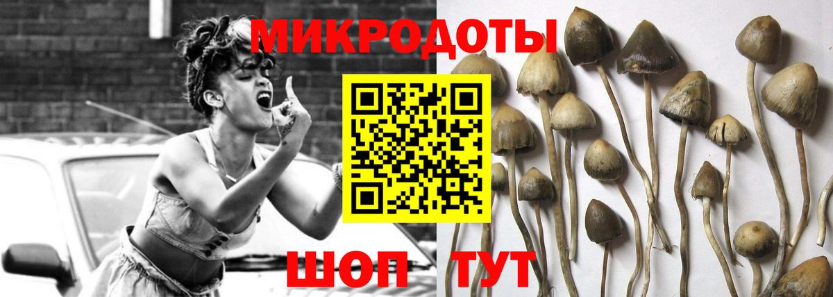 Псилоцибиновые грибы Magic Shrooms Благодарный