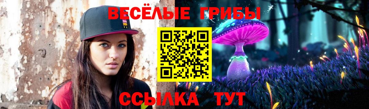 Благодарный  Псилоцибиновые грибы GOLDEN TEACHER  Галлюциногенные грибы прущие грибы  купить наркотик  Вход с VPN 
